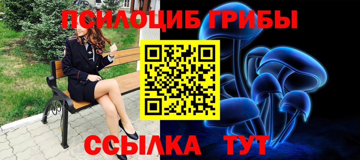 Псилоцибиновые грибы Psilocybe  Вход с VPN  Киселёвск  Псилоцибиновые грибы ЛСД 